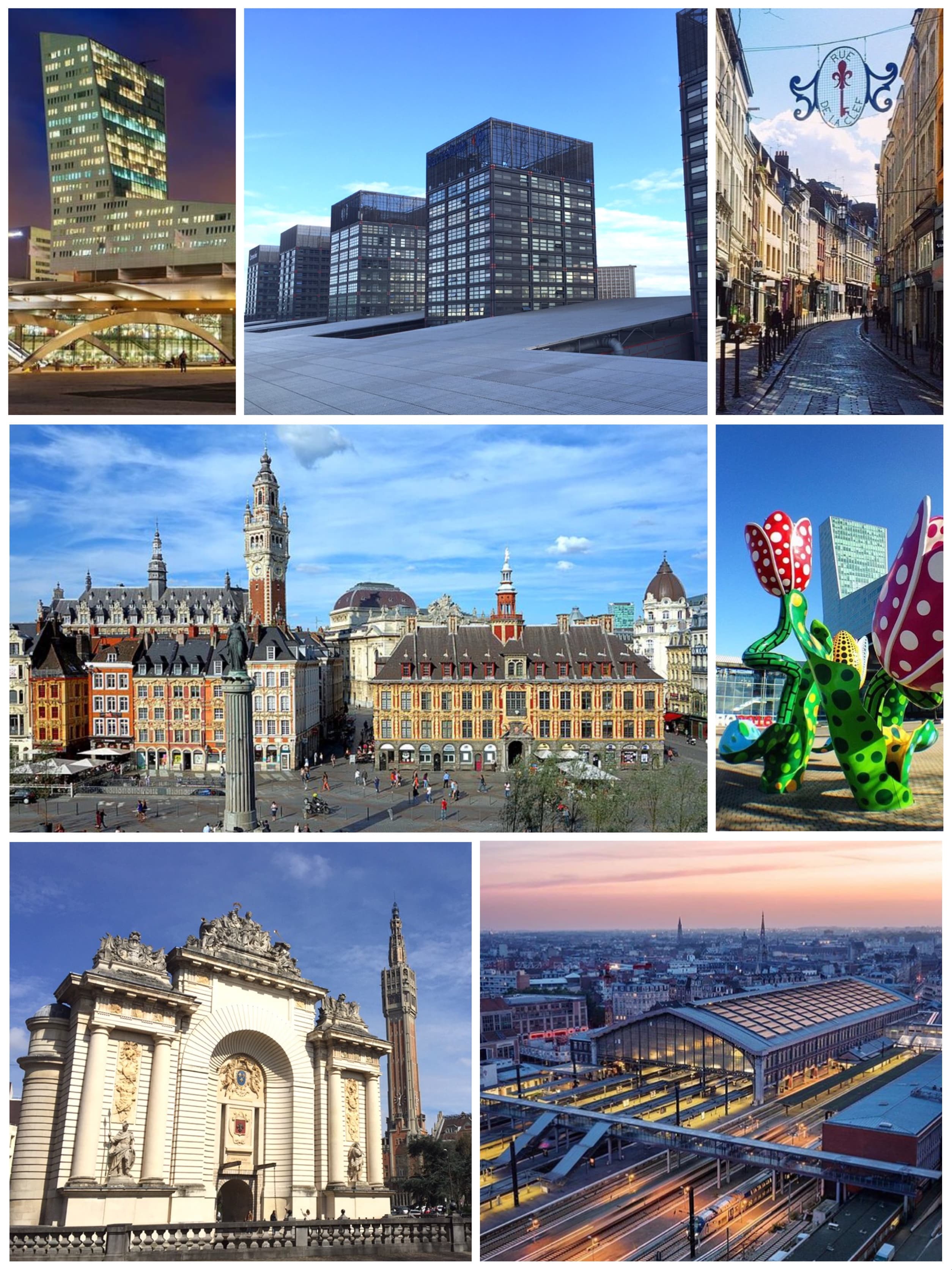Vue de Lille